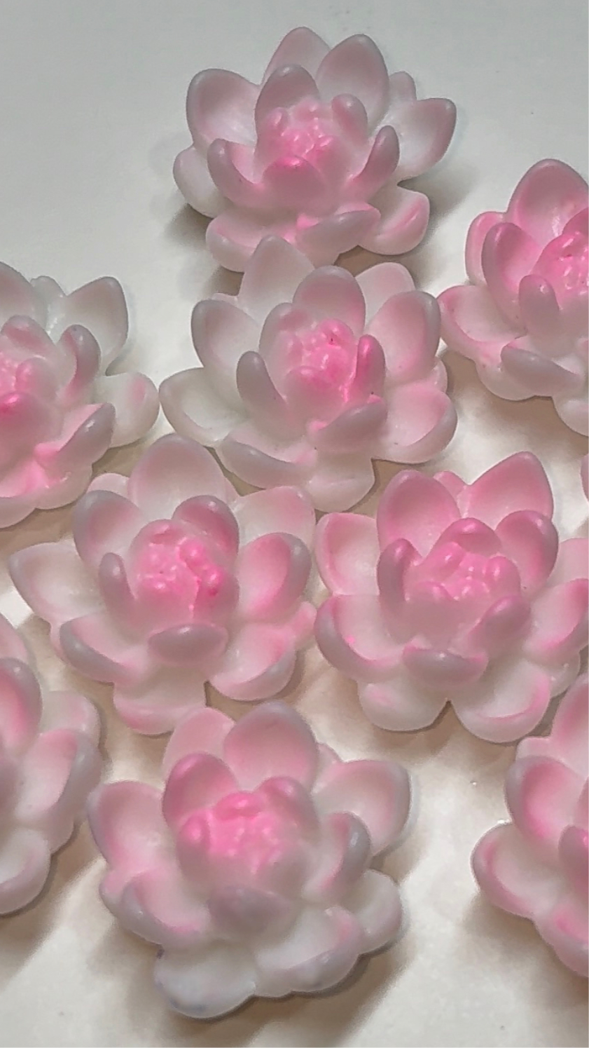 Lotus