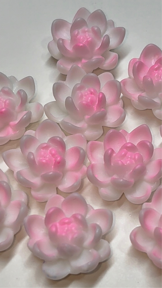 Lotus